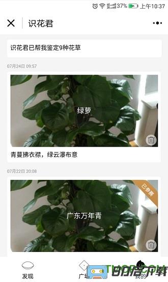 识花君免费版