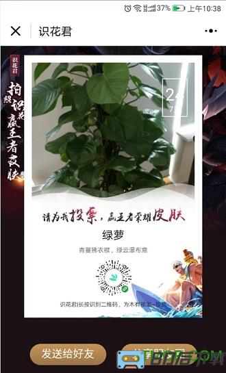 识花君拍照识别花软件
