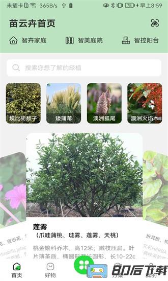 苗云卉平台最新版