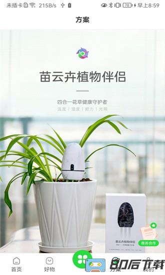 苗云卉平台最新版
