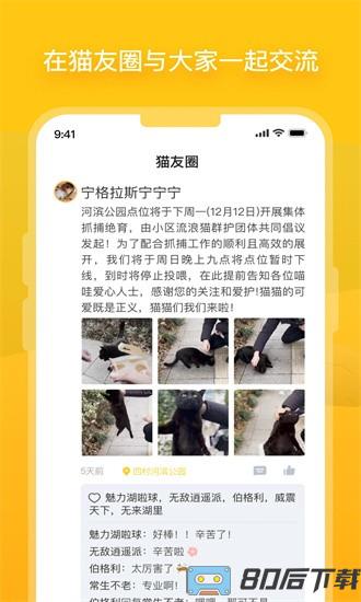 哈啰街猫官方版