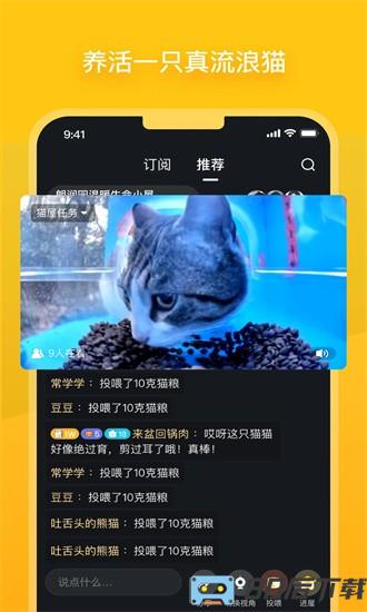 哈啰街猫官方版