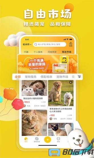 宠胖胖最新版