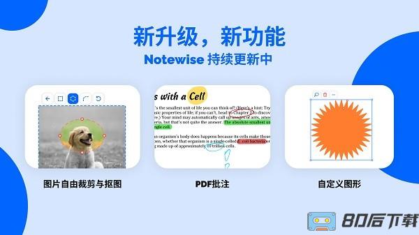 notewise笔记官方版