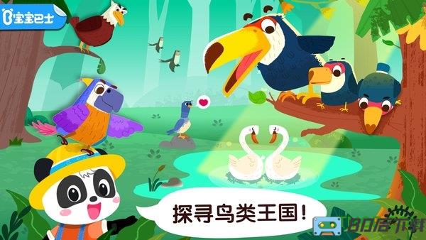 宝宝巴士宝宝鸟类认知