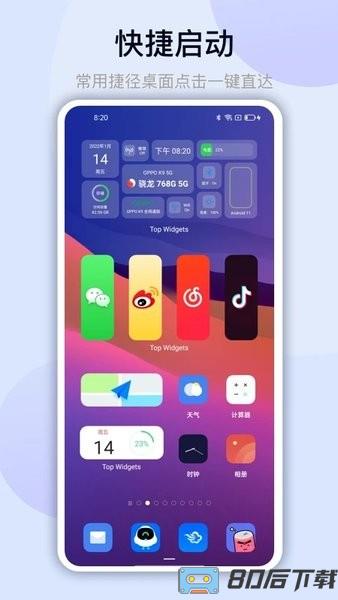 万能小组件topwidgets
