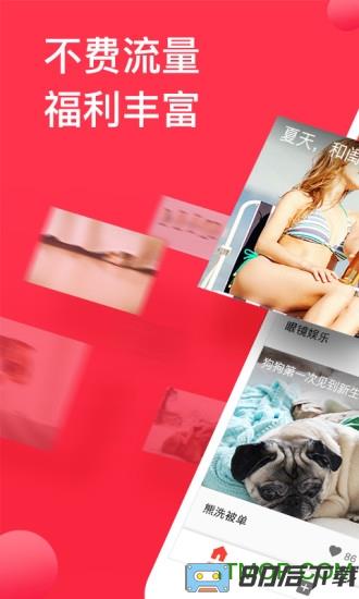 西瓜视频最新普通版