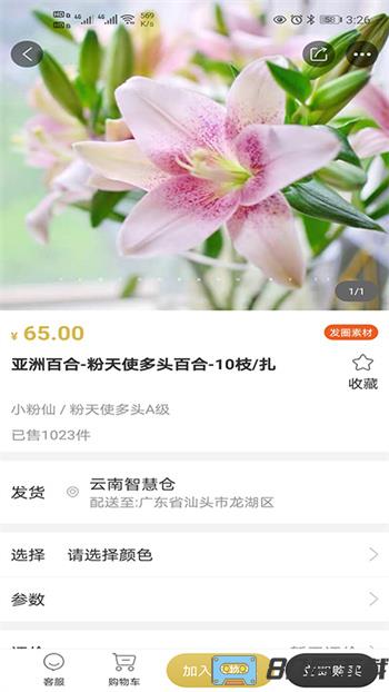 花店云仓