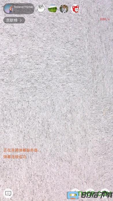 斗鱼直播伴侣手机版