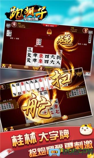 字牌跑胡子合集