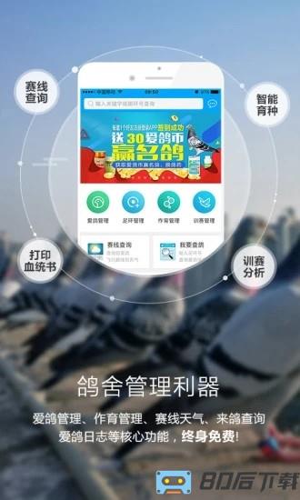 爱鸽者官方版