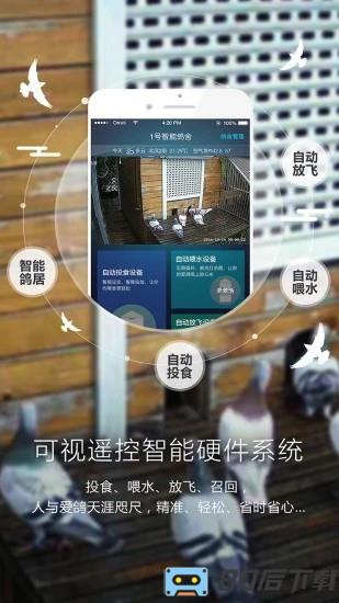 爱鸽者官方版