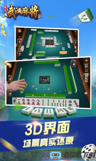 赖子山庄武汉赖子麻将单机版