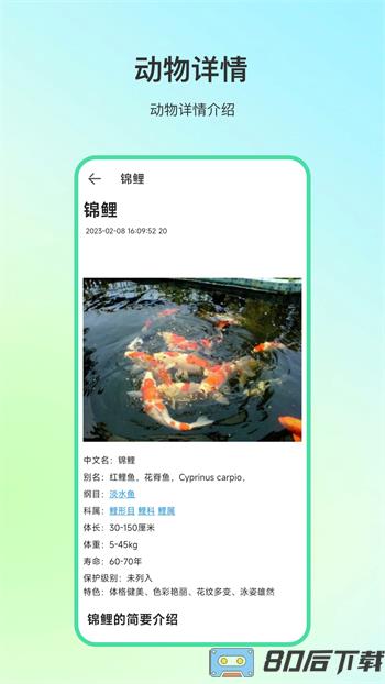 动物百科