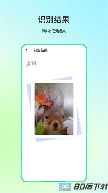 动物百科