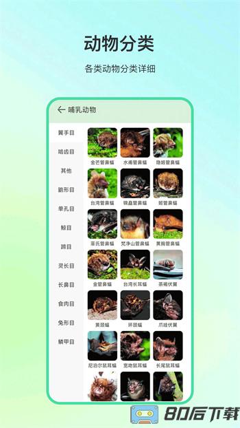 动物百科