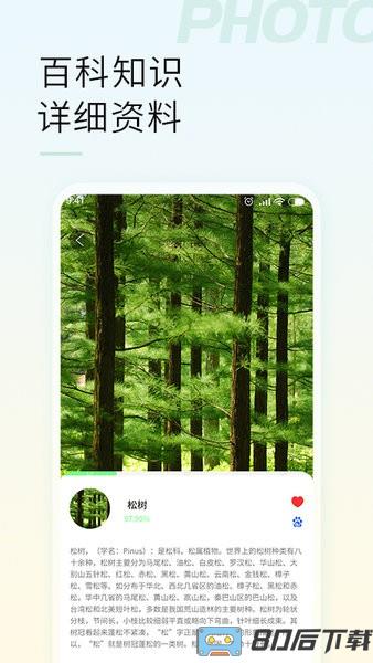智能拍照物品识别