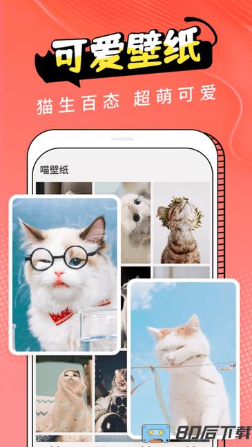 pet猫翻译软件