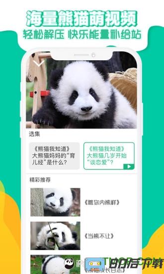 ipanda熊猫频道