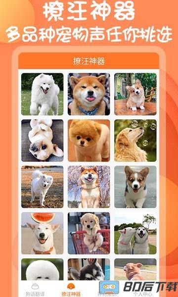 小铃铛狗语翻译器免费版