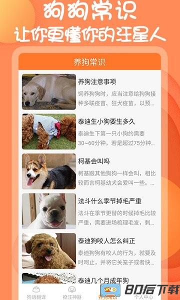 小铃铛狗语翻译器免费版