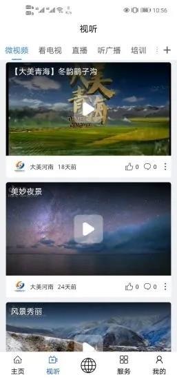 大美河南最新版