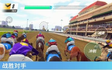 赛马路路发