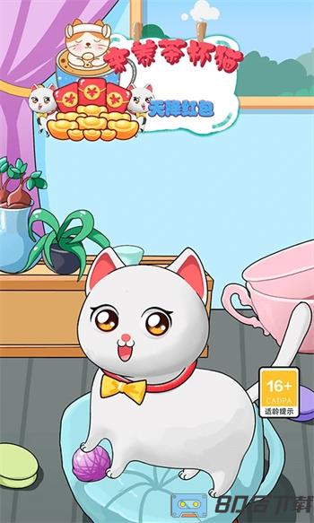 来养茶杯猫