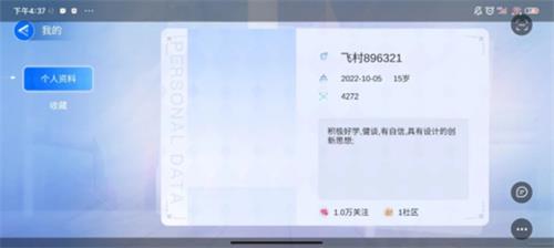 飞村3D版