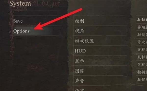 龙之信条2水面倒影设置教程