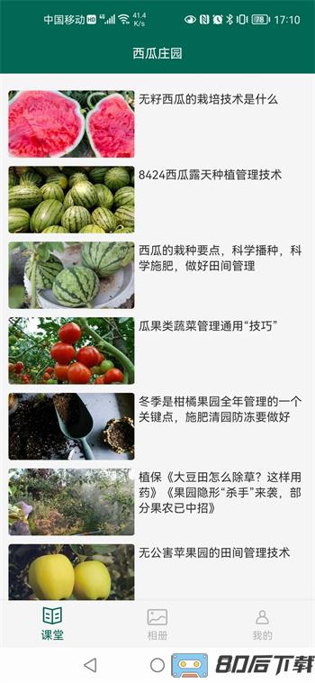 西瓜庄园