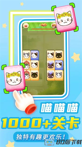 猫了个咪