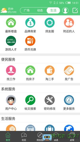 游鸽网app