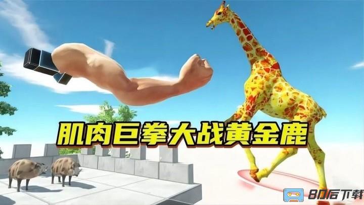 动物穿过官方版