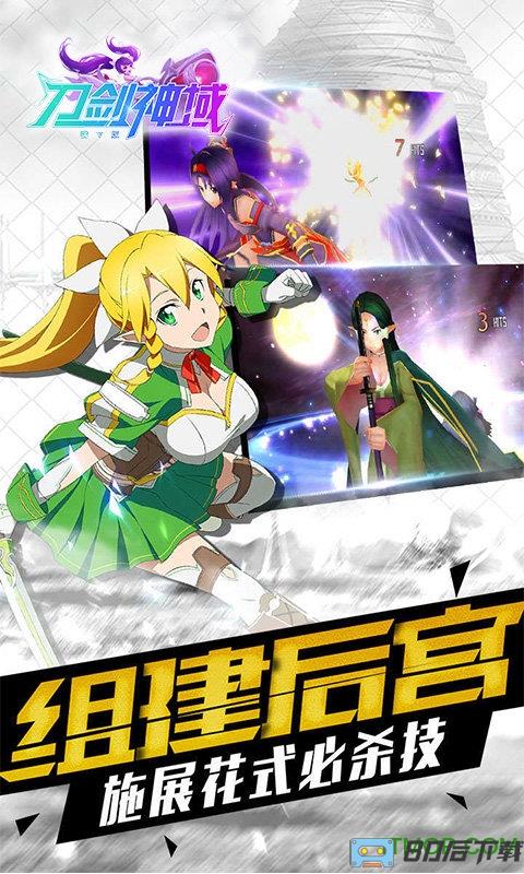 刀剑神域vip会员版