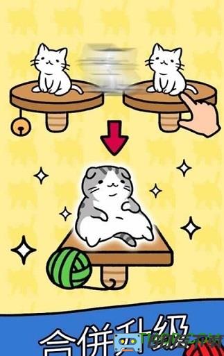 猫咪公寓2(Cat Condo 2)