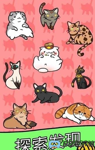 猫咪公寓2(Cat Condo 2)
