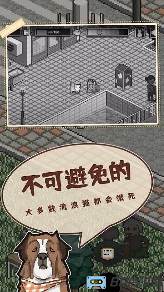 卡通猫中文版
