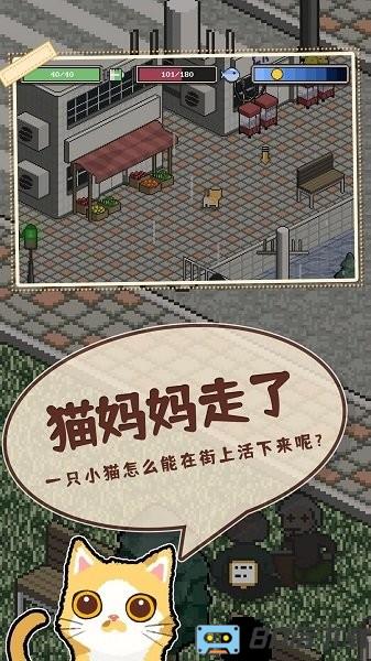 卡通猫中文版