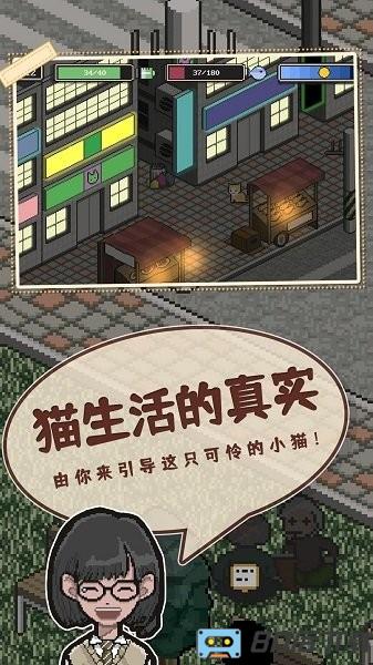 卡通猫中文版