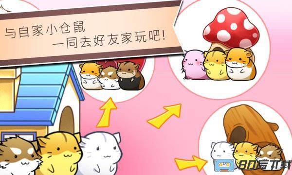 仓鼠的日常最新版