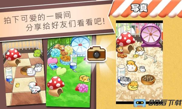 仓鼠的日常最新版