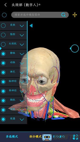 医维度3d人体解剖app