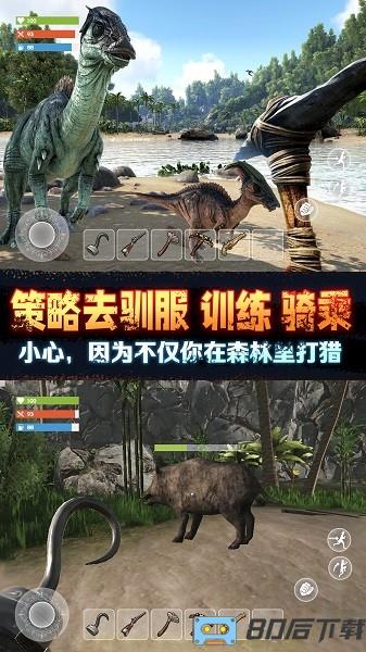 野外极限生存游戏