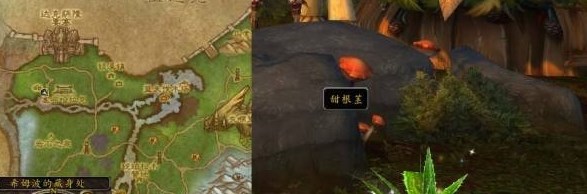 魔兽世界蘑菇汤任务怎么完成 魔兽世界蘑菇汤任务完成攻略[多图]图片2