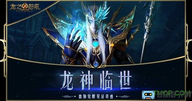 龙之怒吼游戏