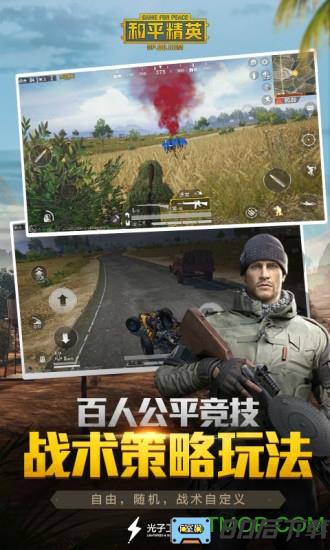 和平精英果盘版