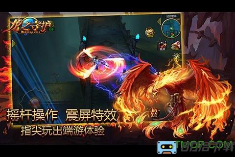 龙之守护百度版