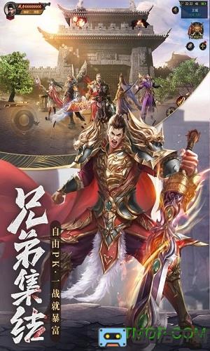 王城英雄vivo版本