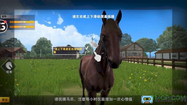 小米相马大师手游